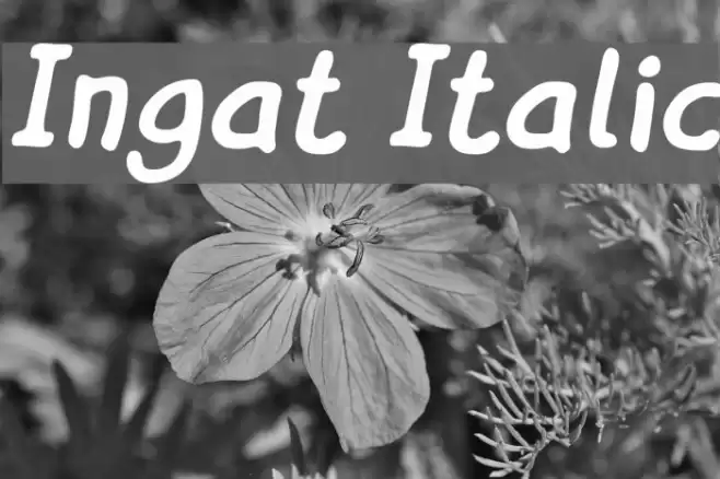 Ingat Italic  examples