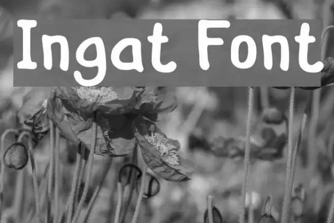 Ingat Font examples