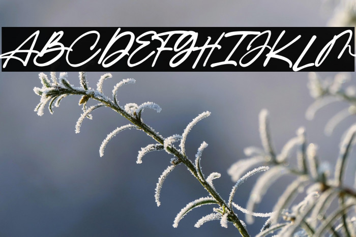 IngkarJanji Example 2