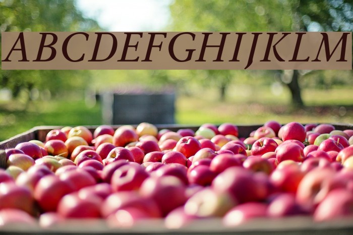 Ingleby Italic Italic Font examples