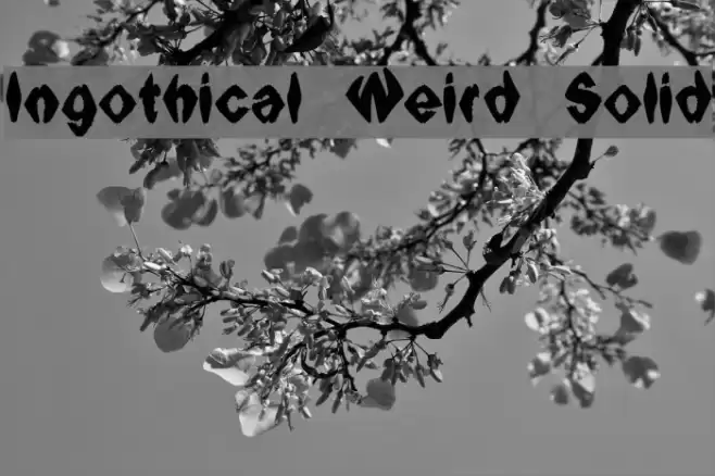 Ingothical Weird Solid Font examples