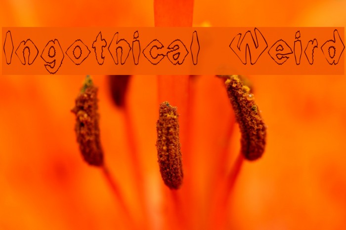 Ingothical Weird フォント examples
