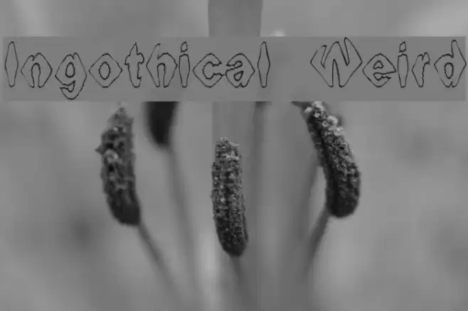 Ingothical Weird Schriftart examples