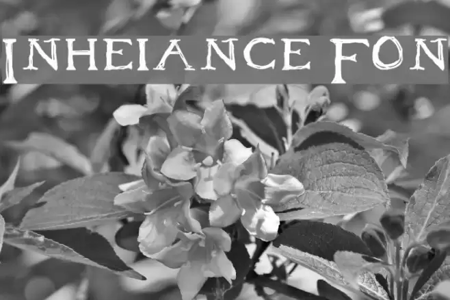 Inheritance Font フォント examples