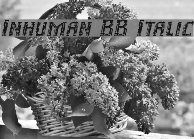 Inhuman BB Italic Font examples