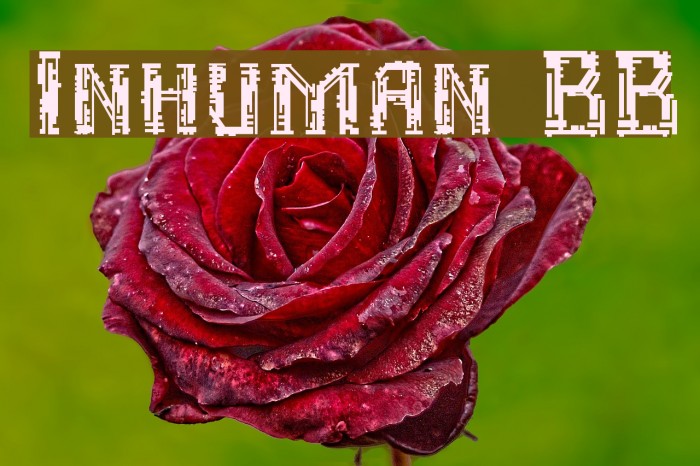 Inhuman BB Font examples