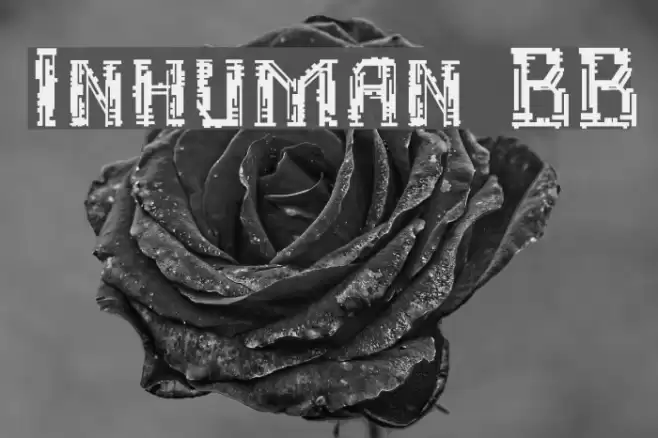 Inhuman BB Font | Free Download (TTF/OTF) | FFonts.net