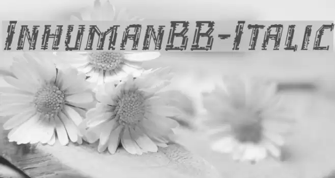 InhumanBB-Italic Font examples