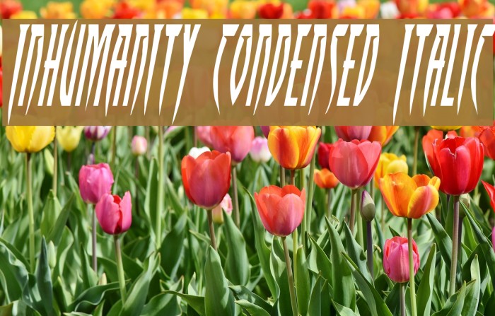 Inhumanity Condensed Italic Font examples