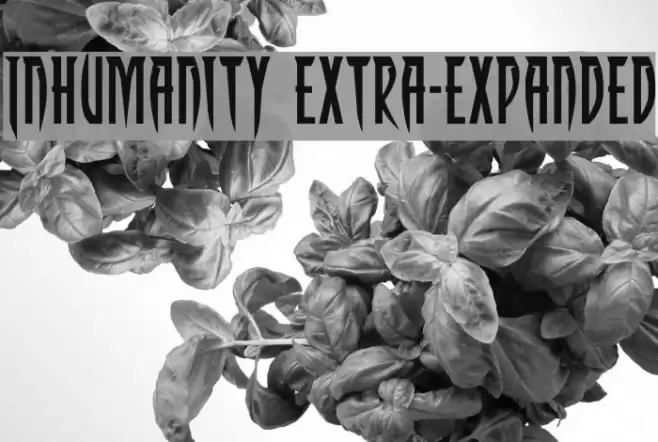 Inhumanity Extra-Expanded Font examples