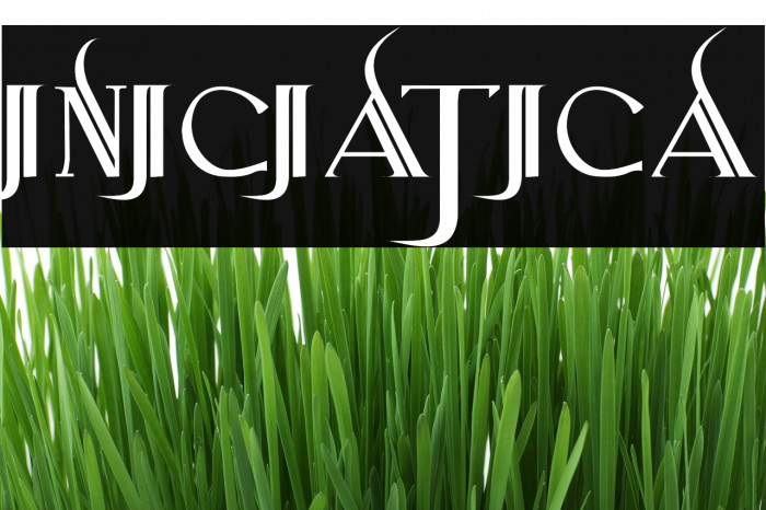 Iniciatica Example 2