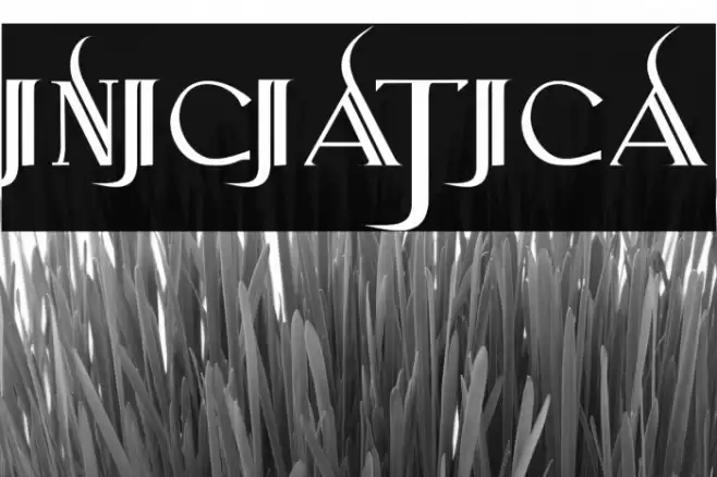 Iniciatica Font examples