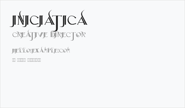 Iniciatica Business Card