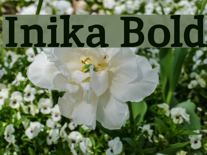 Inika Bold Font examples