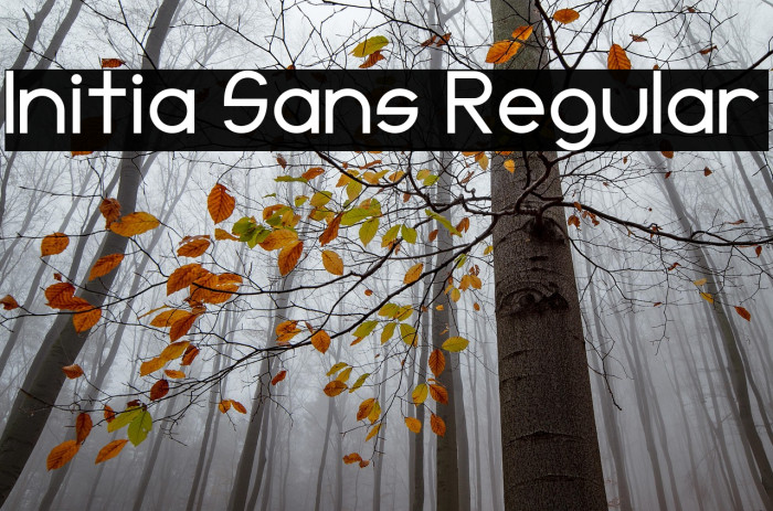 Initia Sans Regular Example 3