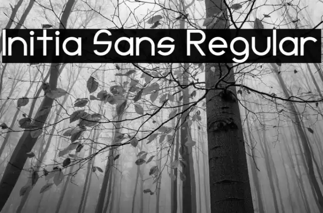 Initia Sans Regular Font examples