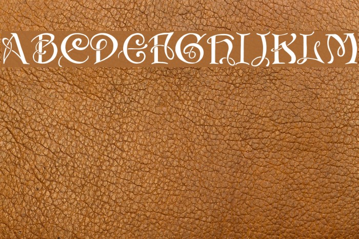 Initials with curls Font examples