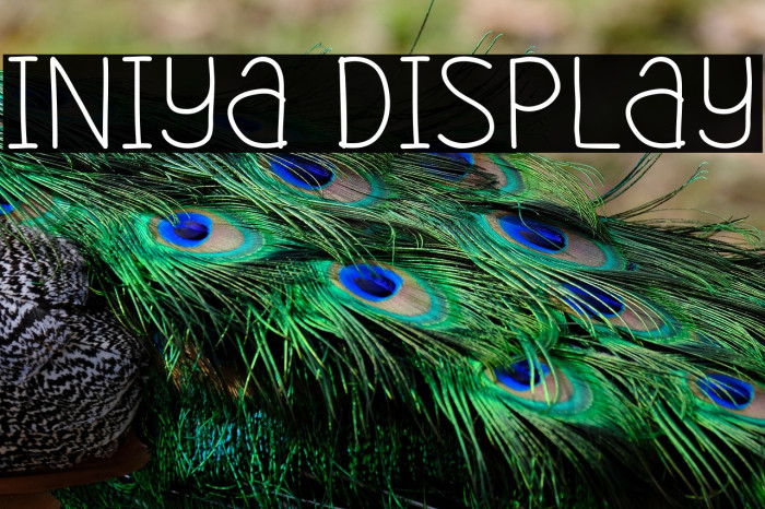 Iniya Display Example 3