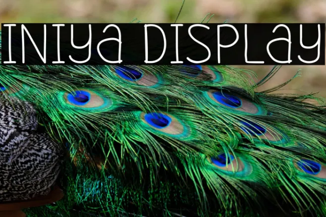 Iniya Display Example 3