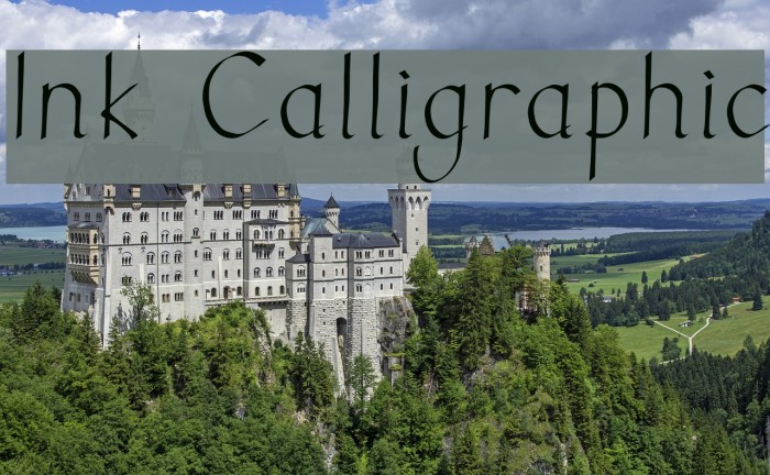 Ink Calligraphic Fonte examples