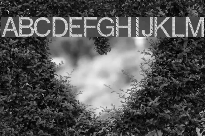 Ink Conservation And Reduction of Use Strategic Font Font examples