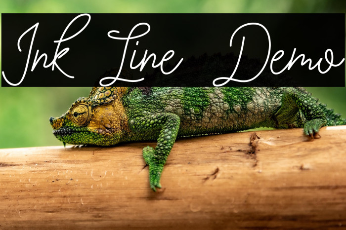 Ink Line Demo Example 1