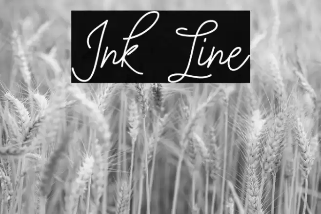 Ink Line Font examples