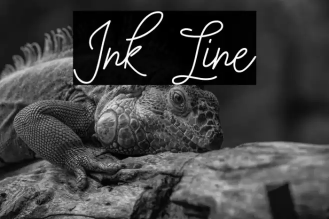 Ink Line Font examples