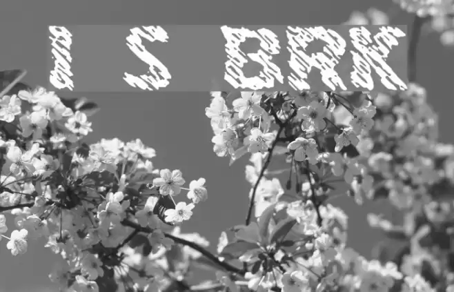 Ink Swipes BRK Font examples