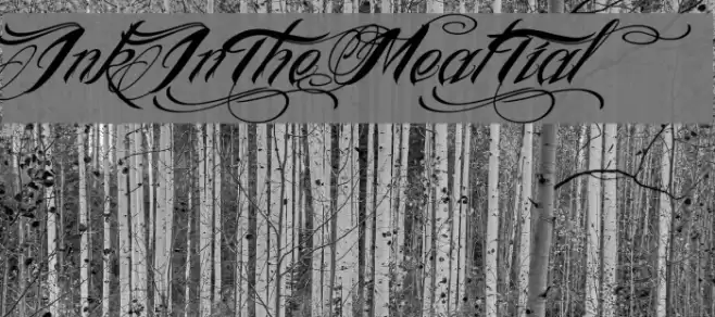 InkInTheMeat-Tial Font examples