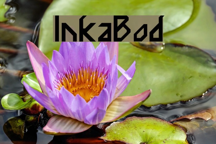 InkaBod Fonte examples