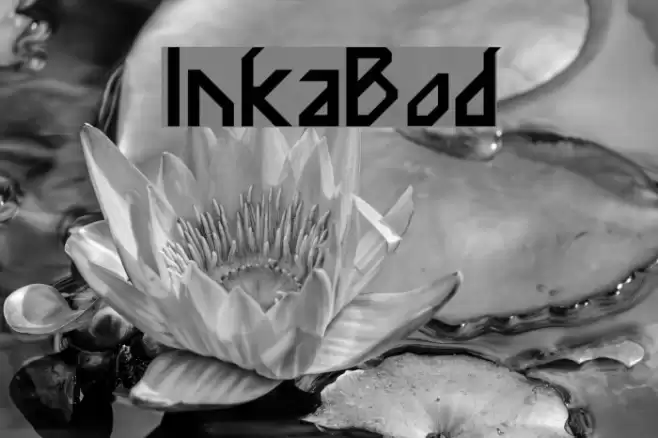 InkaBod Font examples