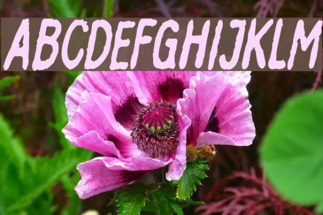 InkbleedCondensed Oblique Example 2