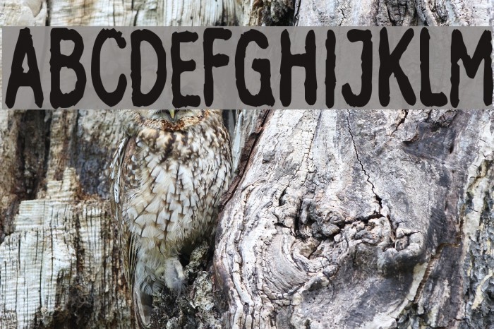 InkbleedCondensed Font examples