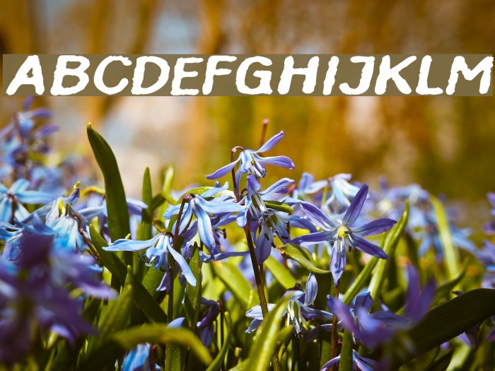 InkbleedExtended Oblique Font examples