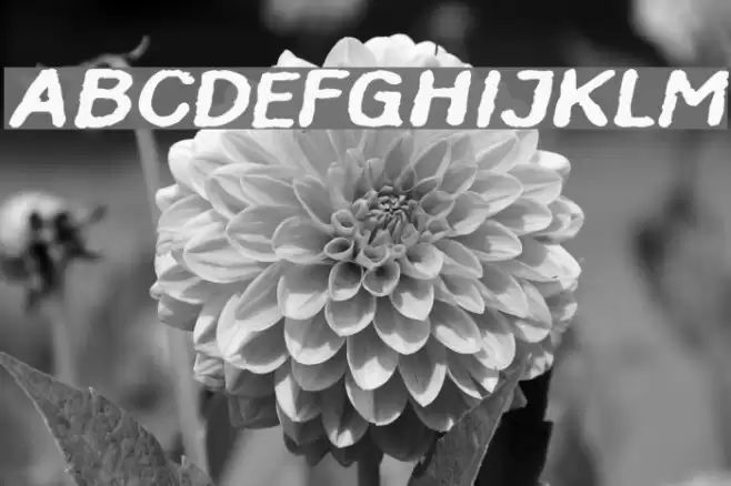 InkbleedExtended Oblique Font examples