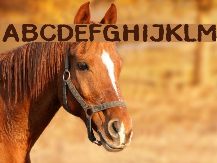 InkbleedExtended Font examples