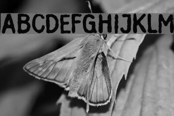 Inkbleed フォント examples