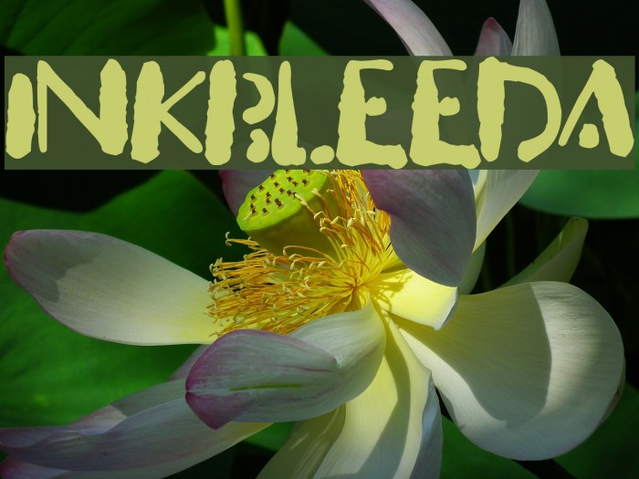 Inkbleeda Font examples