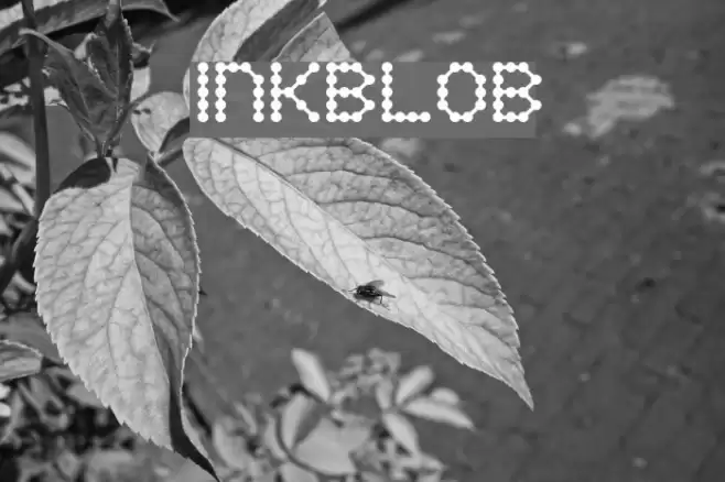Inkblob Font examples