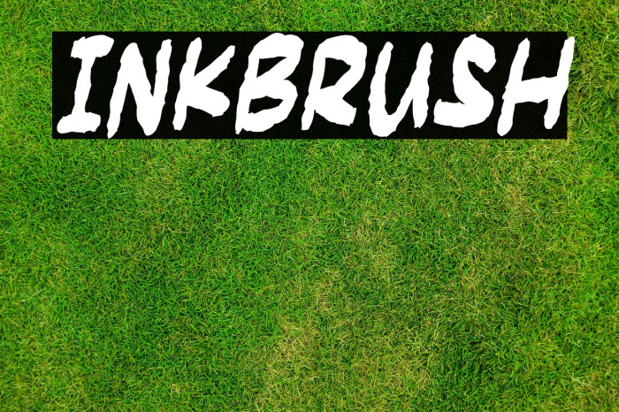 Inkbrush Example 1
