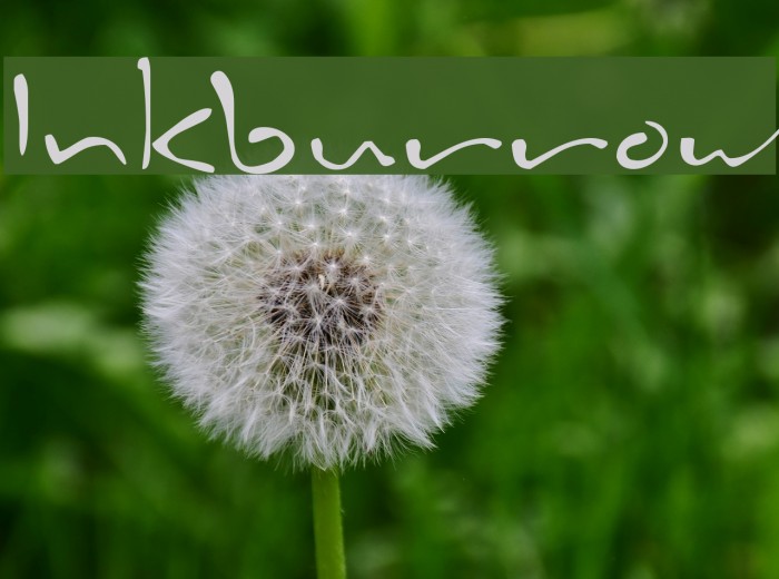 Inkburrow Font examples