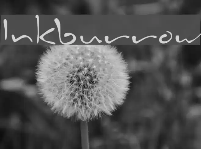 Inkburrow Polices examples