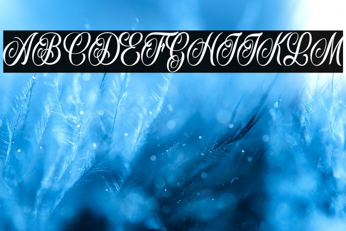 Inked Angels Personal Use Example 2