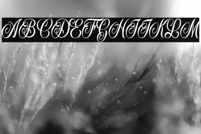 Inked Angels Personal Use Font examples