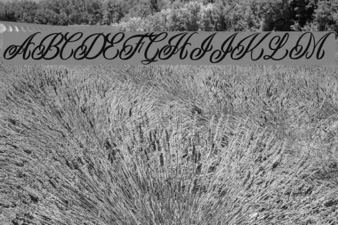 Inked Skin Personal Use Font examples