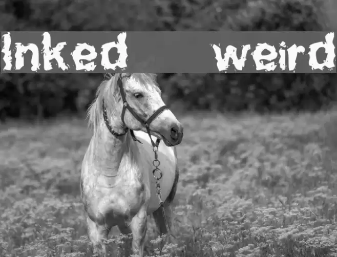 Inked weird Polices examples