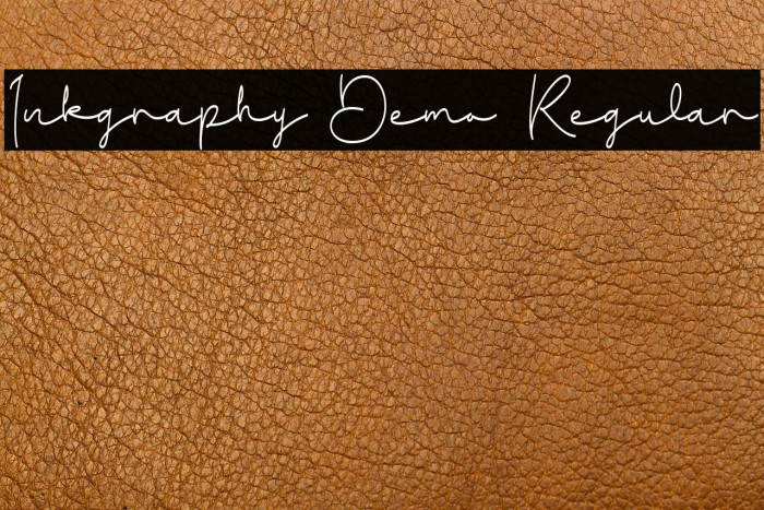 Inkgraphy Demo Regular Example 2