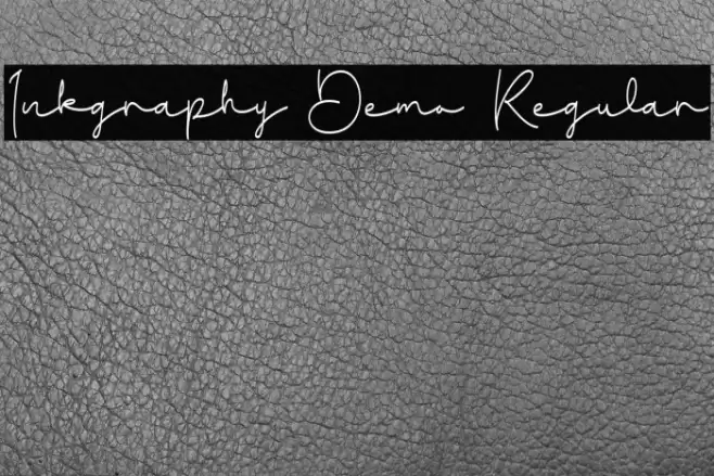 Inkgraphy Demo Regular خط examples