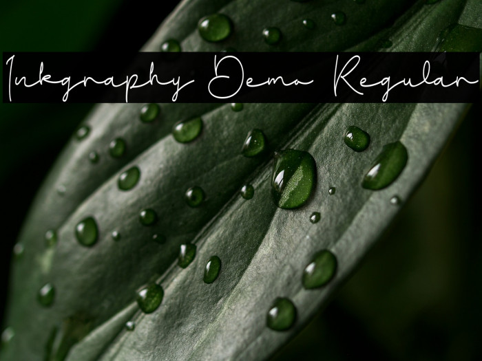 Inkgraphy Demo Regular Example 3